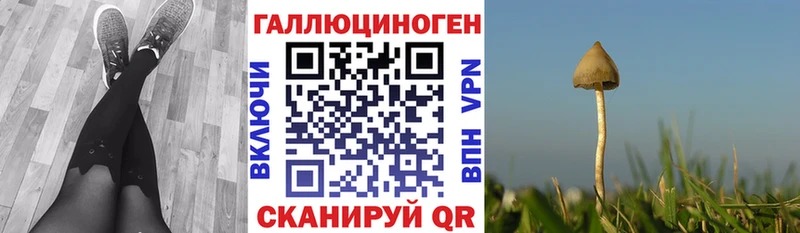 Галлюциногенные грибы Psilocybine cubensis  Купить  Кумертау 
